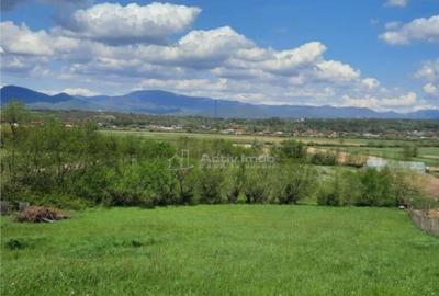 Teren Intravilan 13 Ari Coltau zona buna - 2