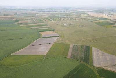 Teren arabil de 40 hectare in Zarand - 4