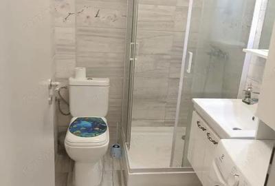 2 camere zona Buziasului - AEM 2 camere zona Buziasului - AEM - 4