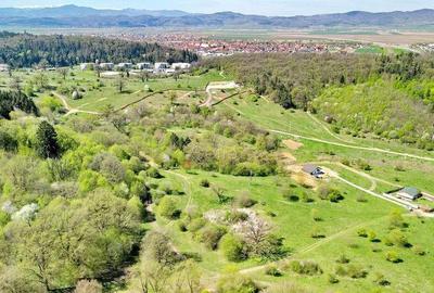 Teren de 5500 mp, în Cristian - 8