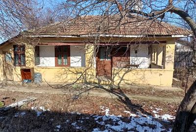 Casă cu 2 camere cu Teren 1000 Mp în Nuci - 3