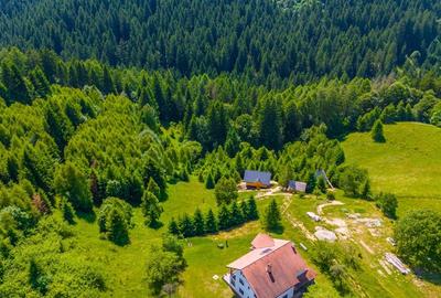 Teren Intravilan in Bran, Brasov (Oaza Ta de liniste la Munte) - 2