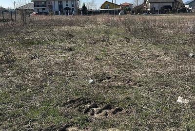 Spațiu comercial, în Șag