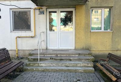 Apartament cu 2 camere în Tineretului - 1