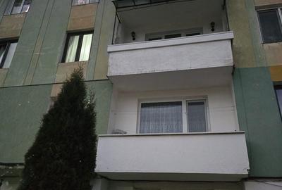Apartament cu 2 camere în Rodna - 2