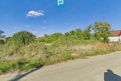 Teren intravilan 6115mp pentru investi?ii Firiteaz - 1