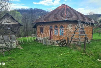 Casă cu 2 camere cu Teren 5800 Mp în Valea Danului - 1