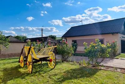 Casa de inchiriat in Sanandrei - 1