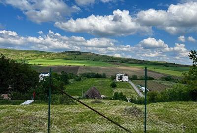 Teren de 600 mp, în Bărdești - 3