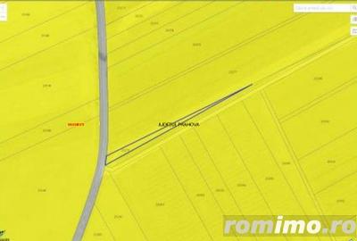 Teren Extravilan Manesti, jud. Prahova - ID: R1979552 - 6