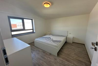 Casa NOUA Sanandrei la prima inchiriere, Eco,  Moderna, 6 minute de Selgros - 13