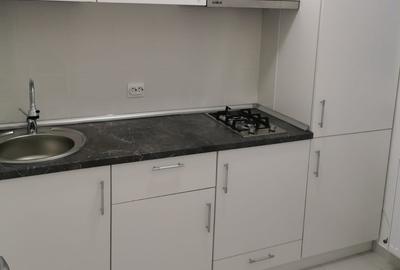 Theodor Pallady cu contract - 2