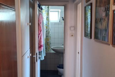 Apartament cu 4 camere în Lacul Tei - 8