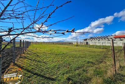 Proprietate autentica+spatiu gospodaresc,1800mp,Araci,Covasna - 4