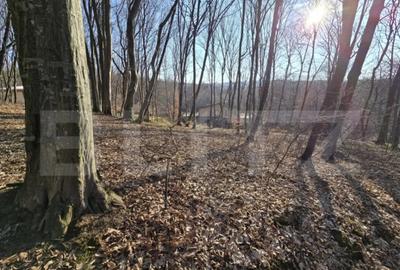 Teren de 1100 mp, în Făget