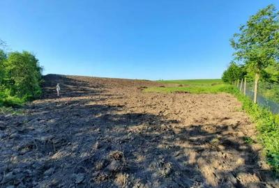 Teren de 5400 mp, în Ictar-Budinți - 2