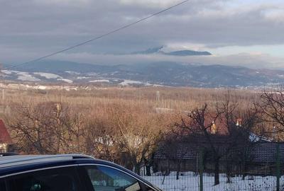 Casă cu 3 camere în Slătioara - 12