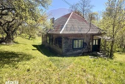 Casă cu 3 camere cu Teren 6039 Mp în Desești - 11