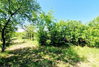 Casă individuală cu 2 camere cu Teren 3742 Mp în Coșoveni - 1