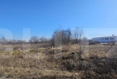 Teren intravilan, 3500 mp, pozitie strategica, Deva - 3