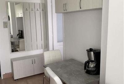 Garsoniera de inchiriat in zona Constructorilor - 7