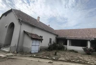 Casa de vanzare la Comlosu Mic - 8