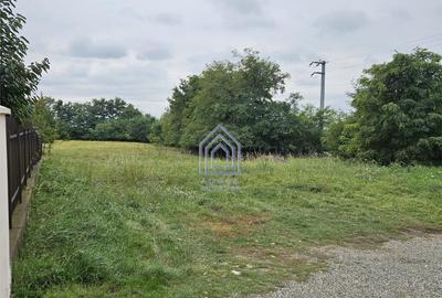 Moara, 7 ari teren rezidential - 4