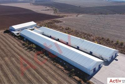 Hale de inchiriat - Ecom Logistic Center - 2