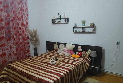 Vand casa in localitatea Bulgarus, jud, Timis. Suprafata teren 2019 mp.Suprafata constructii 420mp. - 5