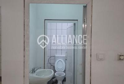 ZONA INDUSTRIALA (COD04)-Hala 270 mp ideal service auto - 8