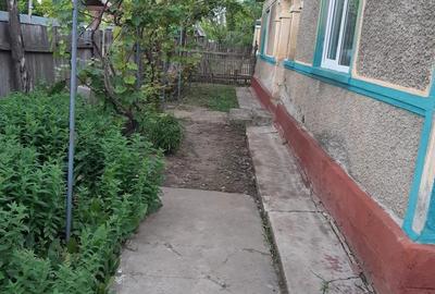 Vand casa batraneasca - 4