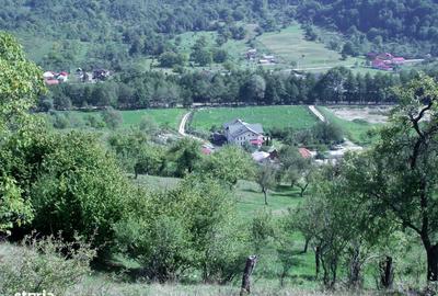 Casă cu 6 camere cu Teren 60000 Mp în Corbi - 5