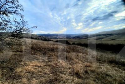 Teren de 2900 mp, în Sopor