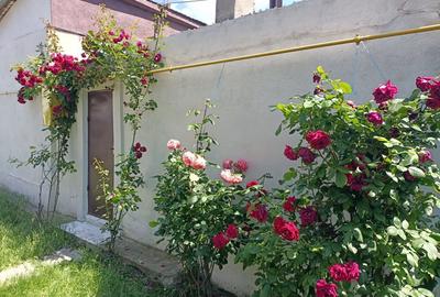 Casă cu 1 camere în Central - 1