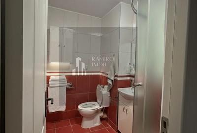 Apartament cu 4 camere decomandat, mobilat în Ferentari - 10