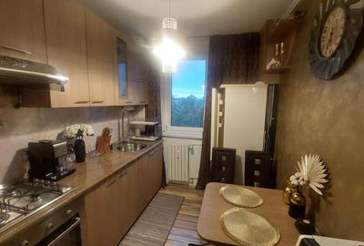 Apartament doua camere semidecomandat, etajul 4, Calea Bucuresti zona Institut - 5