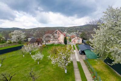 Casă cu 5 camere cu Teren 3659 Mp în Sărata - 2