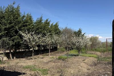 Casă cu 4 camere în Fișcălia - 1