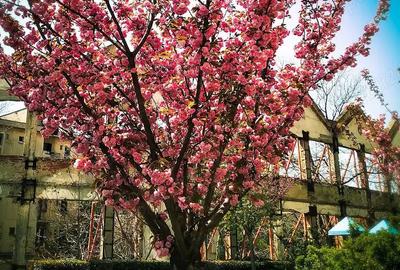 In City Residence- vanzare apartament 3 camere In City Residence- vanzare apartament 3 camere - 6