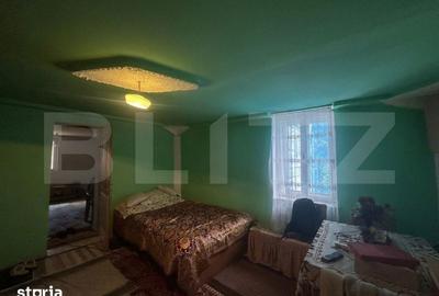 Casă cu 4 camere cu Teren 12186 Mp în Rapoltu Mare - 14