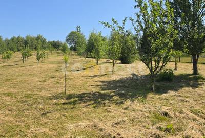 Teren Construcții intravilan de 1000 mp, în Sălicea - 4