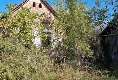 Spațiu comercial, în Cracu Almăj - 14