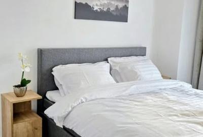 Apartament cu 3 camere decomandat, mobilat în Rahova - 14