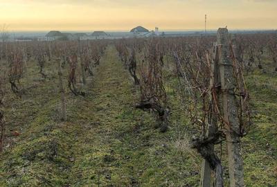 Spațiu comercial, în Slobozia Bradului - 1