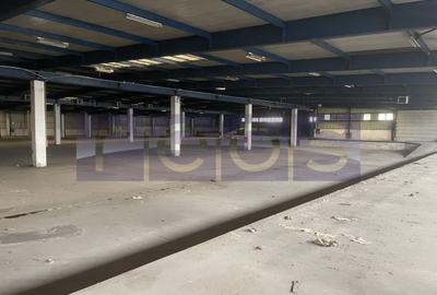 Spațiu industrial, de 19,300 mp, în Odăi - 22
