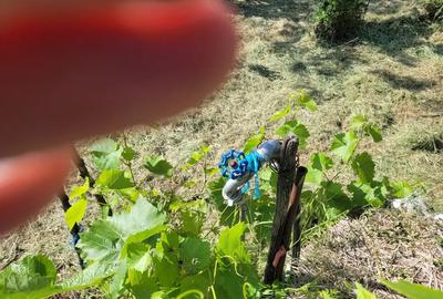 Casă cu 4 camere în Ghermănești (Drânceni) - 4