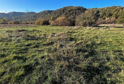 Bocsa Teren Intravilan 2754 Mp. - 6