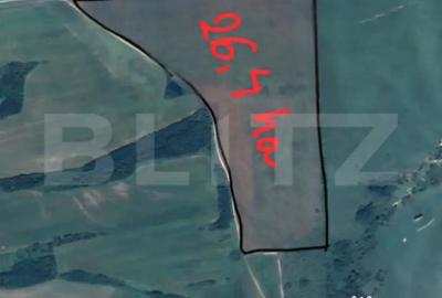 Teren de 243504 mp, în Ardud - 2