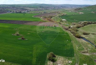 Teren de 8600 mp, în Iclod - 19