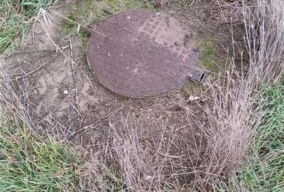 RECO Teren intravilan, Bors - 2